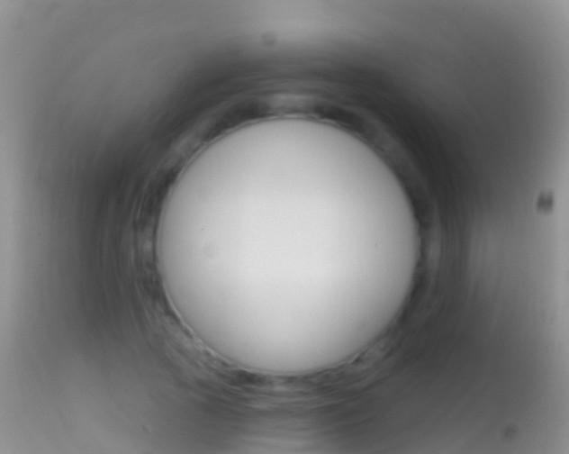 X0000114690737200910211054
