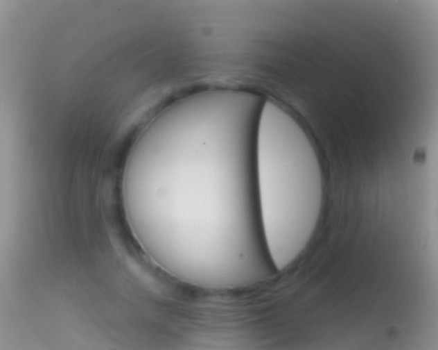 X0000114690738200910211054