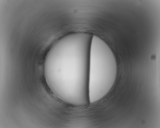 X0000114690743200910211054