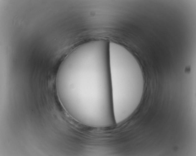 X0000114690747200910211054