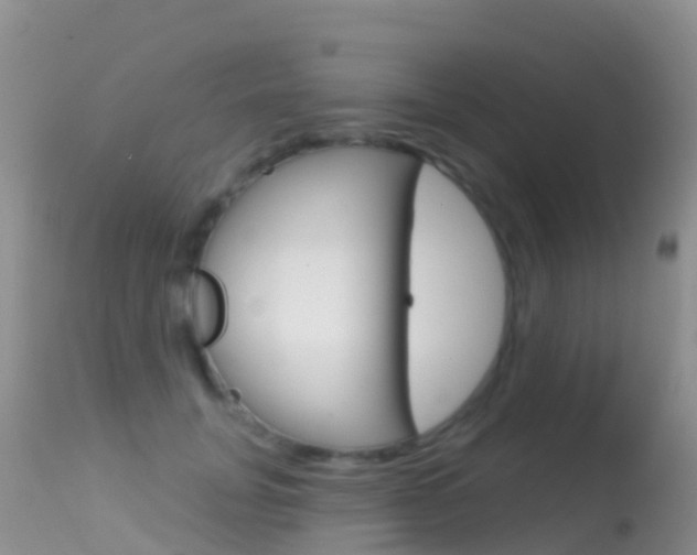 X0000114690751200910211054