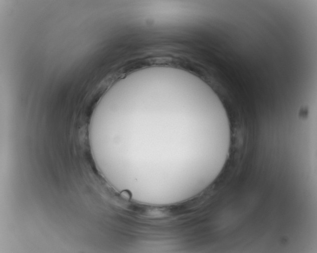 X0000114690753200910211054