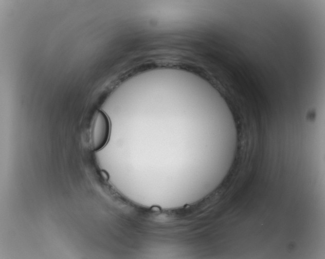 X0000114690755200910211054