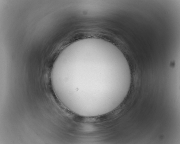 X0000114690757200910211054