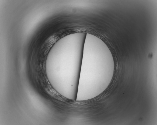 X0000114690763200910211054