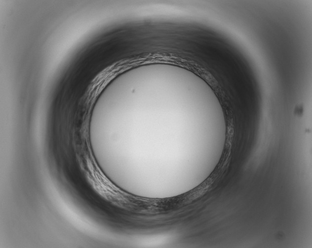X0000114690765200910211054