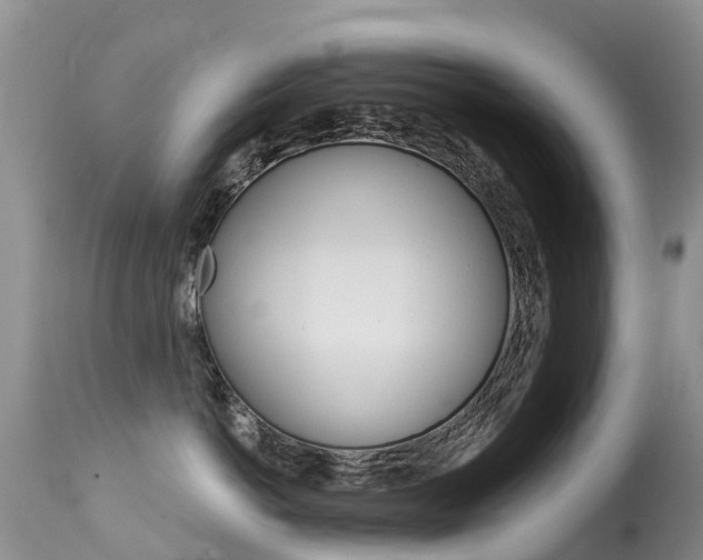 X0000114690766200910211054