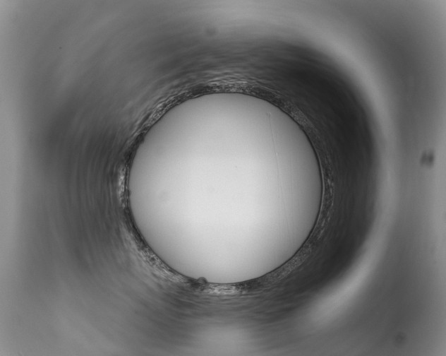 X0000114690767200910211054