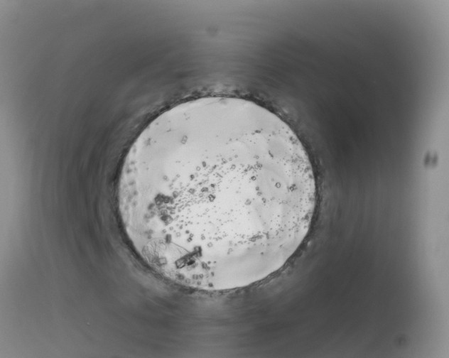 X0000114690769200910211053