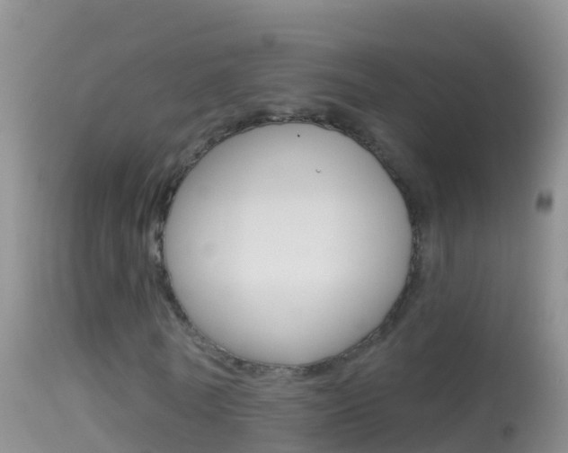 X0000114690770200910211053