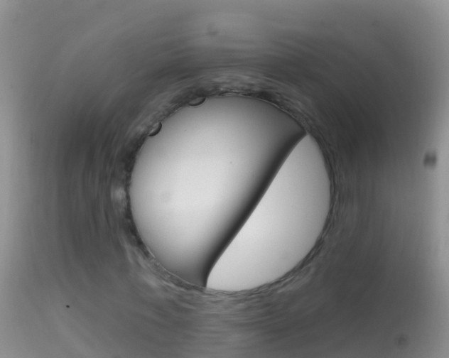 X0000114690771200910211053