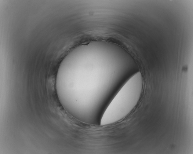 X0000114690772200910211053