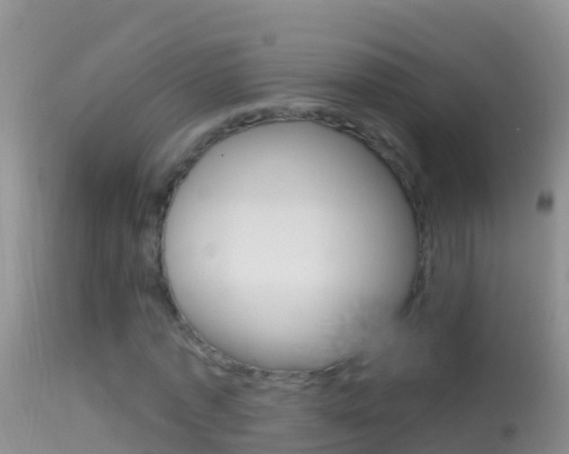 X0000114690773200910211053