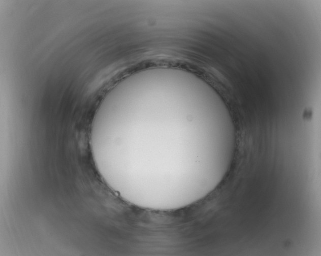 X0000114690774200910211053