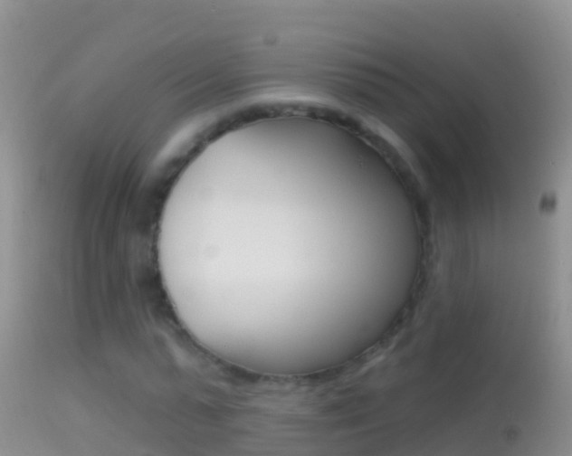 X0000114690775200910211053