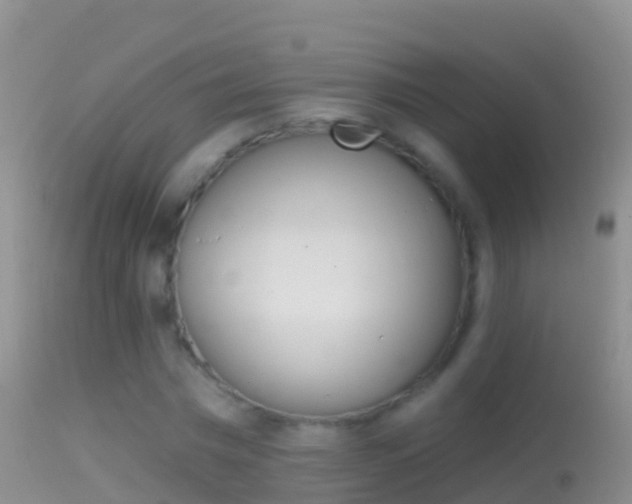 X0000114690777200910211053