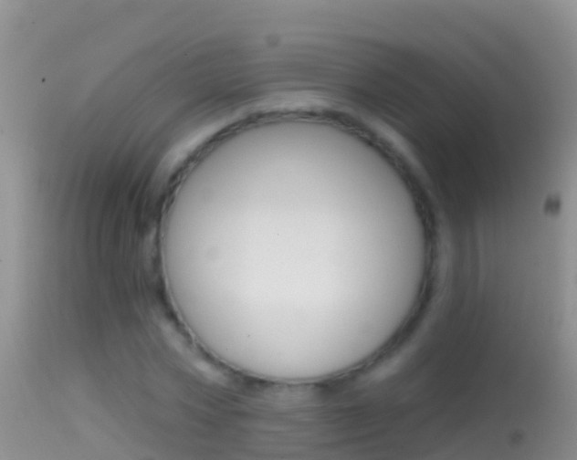 X0000114690778200910211053