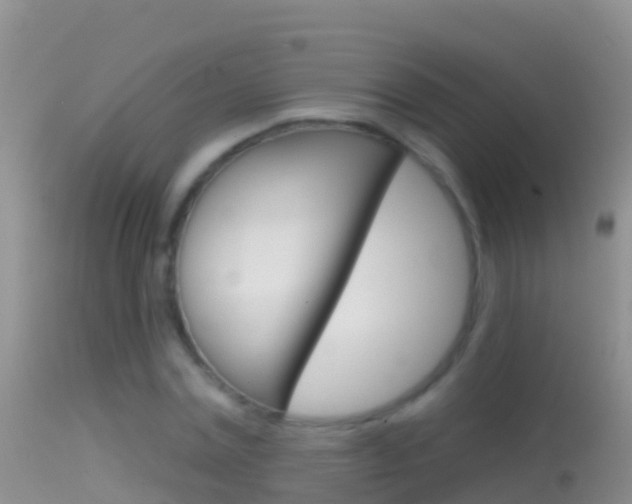 X0000114690779200910211053
