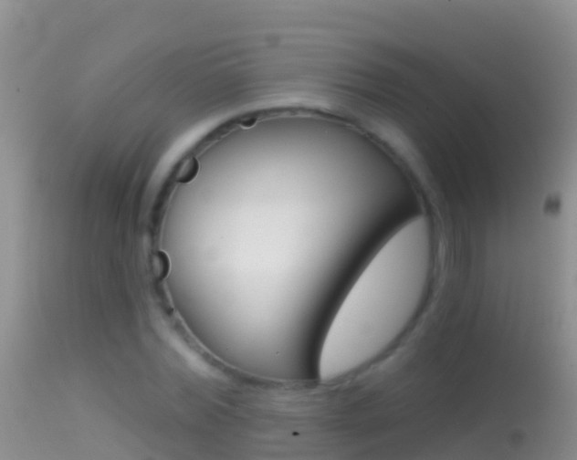 X0000114690780200910211053