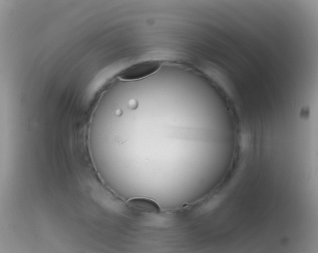 X0000114690781200910211053