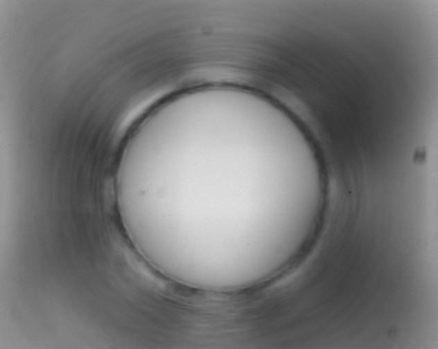 X0000114690782200910211053