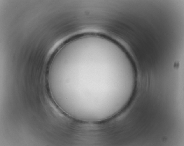 X0000114690783200910211053