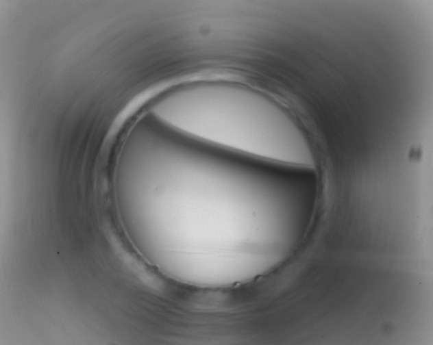 X0000114690784200910211053