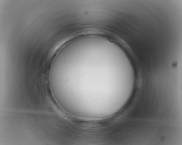 X0000114690786200910211053