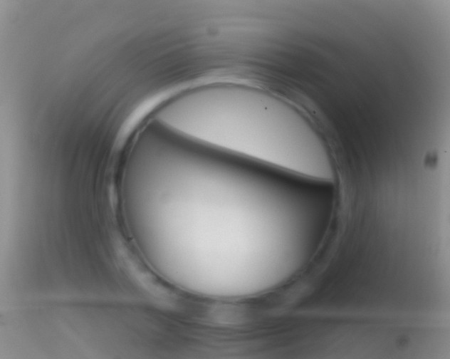 X0000114690788200910211053