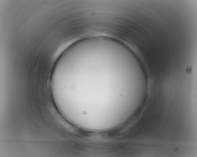 X0000114690790200910211053