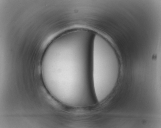 X0000114690791200910211053