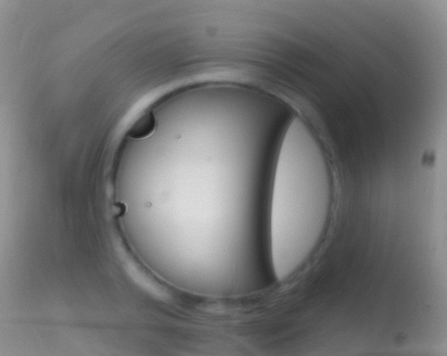 X0000114690792200910211053