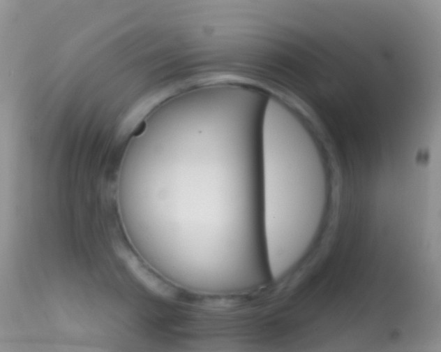 X0000114690793200910211053