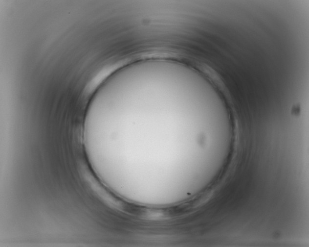 X0000114690794200910211053