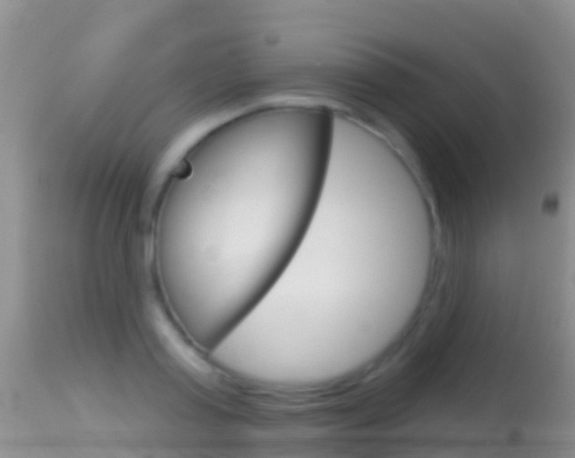 X0000114690795200910211053
