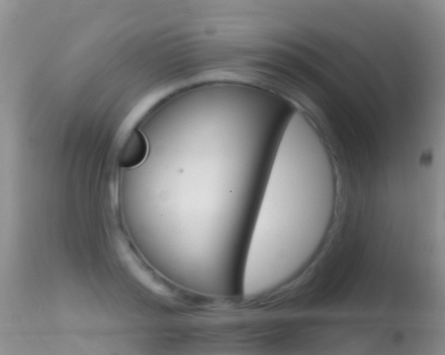 X0000114690796200910211053