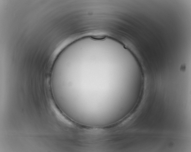 X0000114690797200910211053