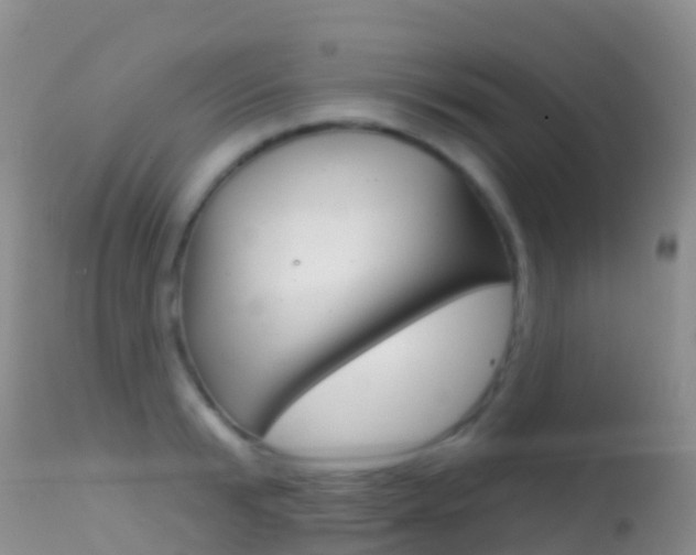 X0000114690799200910211053