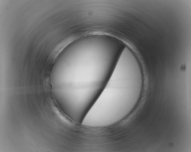 X0000114690801200910211053