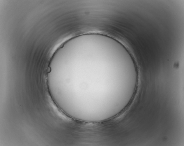 X0000114690806200910211053