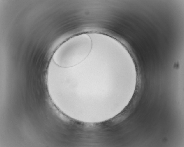 X0000114690807200910211053