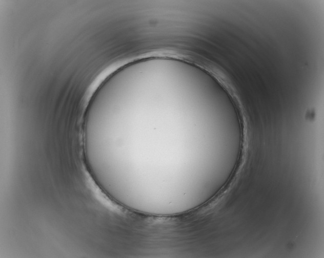 X0000114690808200910211053
