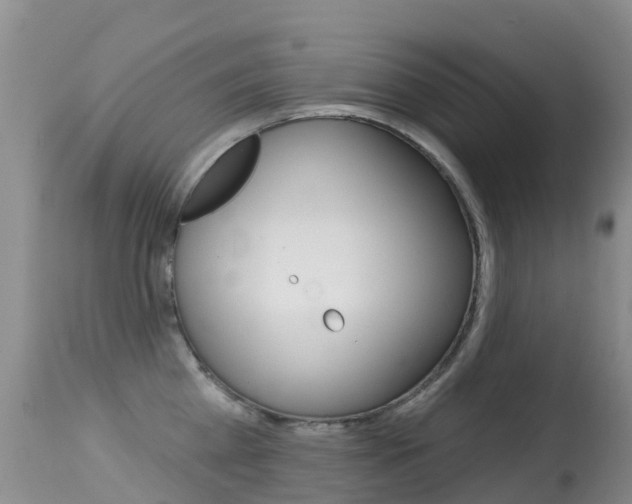 X0000114690809200910211053