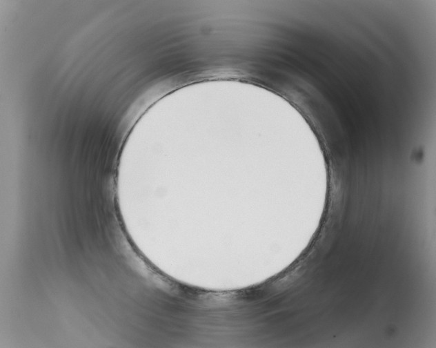X0000114690810200910211053