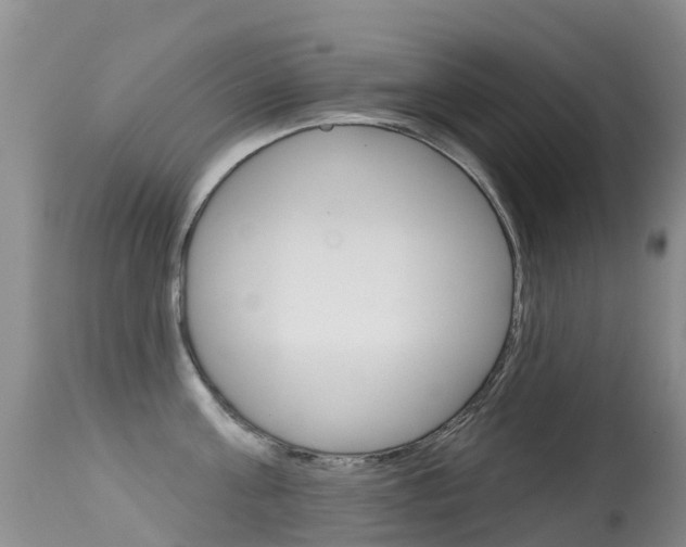 X0000114690811200910211053