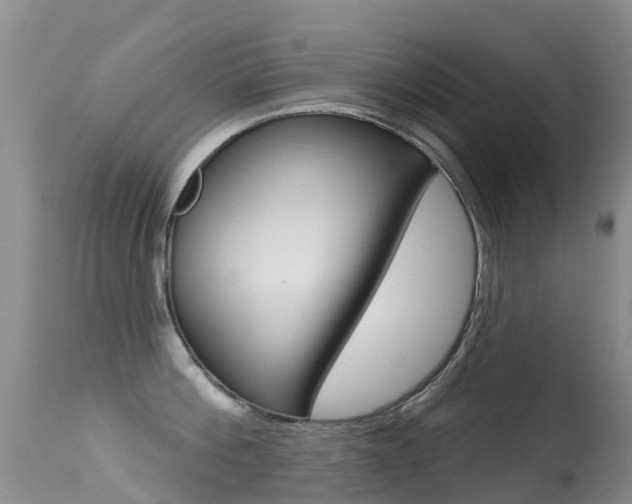 X0000114690812200910211053