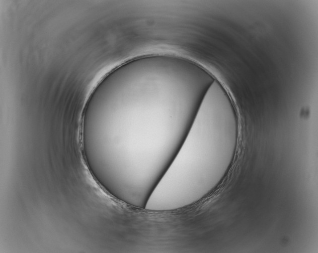 X0000114690815200910211053