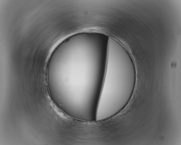 X0000114690816200910211053