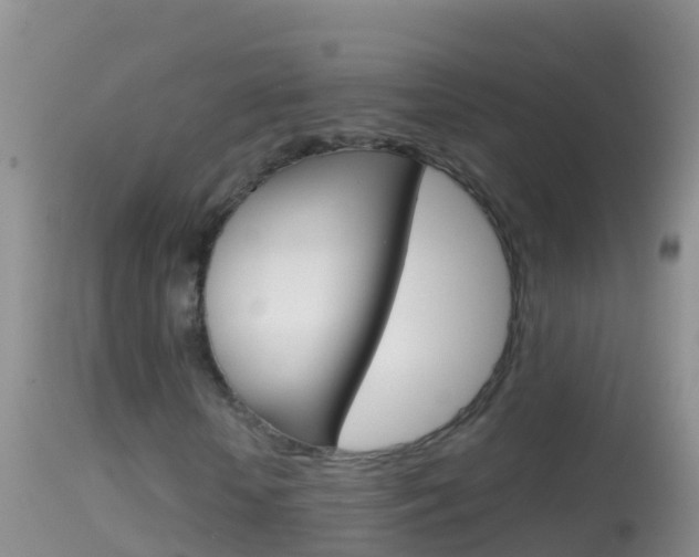 X0000114690818200910211052