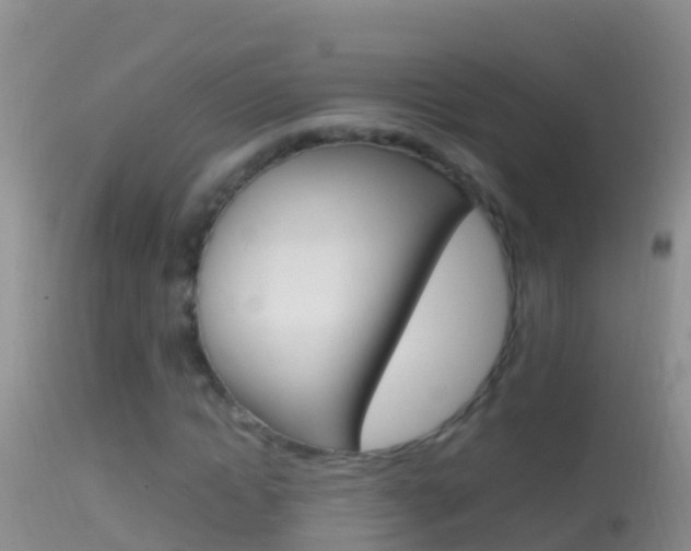 X0000114690822200910211052